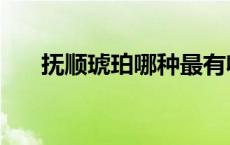 抚顺琥珀哪种最有收藏价值 抚顺琥珀 