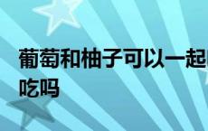 葡萄和柚子可以一起吃吗? 葡萄和柚子能一起吃吗 