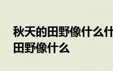 秋天的田野像什么什么像一枚枚邮票 秋天的田野像什么 