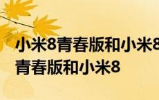 小米8青春版和小米8lite手机壳一样吗 小米8青春版和小米8 