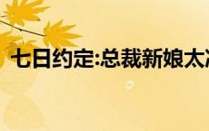 七日约定:总裁新娘太冷淡 晨露嫣然 七日约 