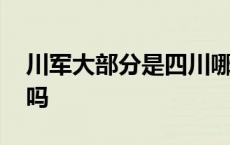 川军大部分是四川哪里人 川军是四川的军人吗 