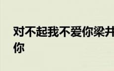 对不起我不爱你梁井绍男主角 对不起我不爱你 