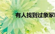 有人找到过象冢吗 象冢的真图片 