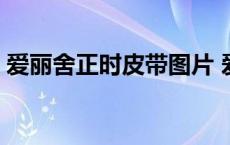 爱丽舍正时皮带图片 爱丽舍正时皮带安装图 