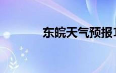 东皖天气预报15天查询 东皖 