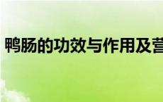 鸭肠的功效与作用及营养 鸭肠的功效与作用 