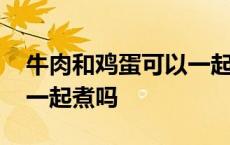 牛肉和鸡蛋可以一起煮着吃吗 牛肉和鸡蛋能一起煮吗 