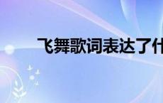 飞舞歌词表达了什么意思 飞舞歌词 