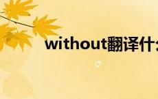 without翻译什么 without翻译 