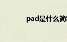 pad是什么简称 pad是什么 