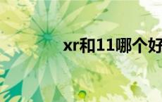 xr和11哪个好 xr和x哪个好 