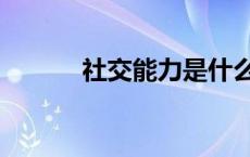 社交能力是什么意思 社交能力 