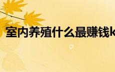 室内养殖什么最赚钱k 室内养殖什么最赚钱 