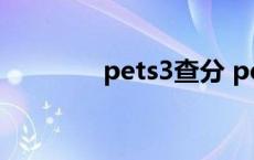 pets3查分 pets3成绩查询 