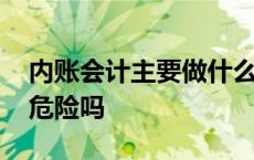 内账会计主要做什么工作内容 内账会计的很危险吗 