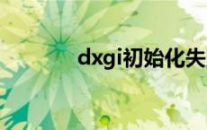 dxgi初始化失败 初始化失败 