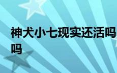 神犬小七现实还活吗2023 神犬小七现实还活吗 