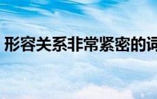 形容关系非常紧密的词语 形容关系十分紧密 