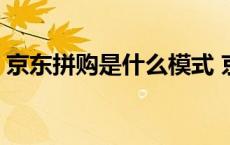 京东拼购是什么模式 京东拼购是一人一份吗 