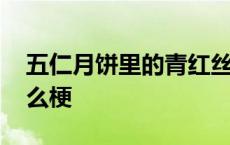 五仁月饼里的青红丝是什么材料 五仁月饼什么梗 