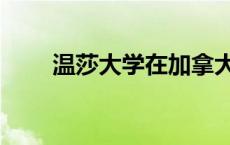 温莎大学在加拿大哪个省 温莎大学 