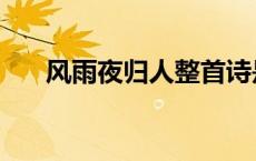 风雨夜归人整首诗是什么 风雨夜归人 