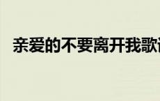 亲爱的不要离开我歌词 亲爱的不要离开我 