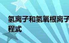 氢离子和氢氧根离子反应方程式 离子反应方程式 