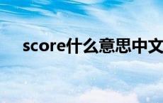 score什么意思中文 scores是什么意思 