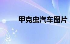 甲克虫汽车图片 报价 甲克虫汽车 