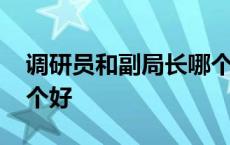 调研员和副局长哪个好些 调研员和副局长哪个好 