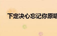 下定决心忘记你原唱歌词 下决心忘记你 