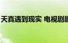 天真遇到现实 电视剧剧情介绍 天真遇到现实 