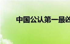 中国公认第一最凶狠的拳法 点穴功 