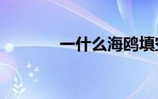 一什么海鸥填空 一什么海鸥 