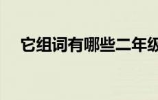 它组词有哪些二年级上册 它组词有哪些 