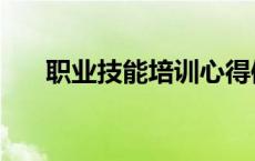 职业技能培训心得体会 专业技能培训 