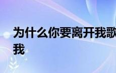 为什么你要离开我歌曲原唱 为什么你要离开我 