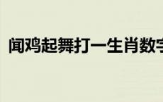 闻鸡起舞打一生肖数字? 闻鸡起舞打一生肖 