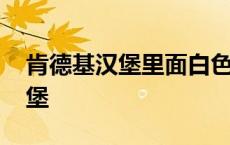 肯德基汉堡里面白色的酱是什么酱 肯德基汉堡 