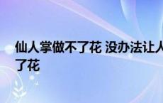 仙人掌做不了花 没办法让人捧在手心上 仙人掌为什么做不了花 