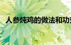 人参炖鸡的做法和功效能放姜吗 人参炖鸡 