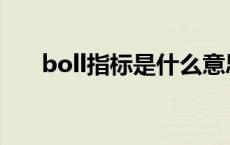 boll指标是什么意思 指标是什么意思 