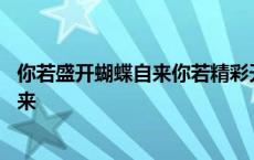 你若盛开蝴蝶自来你若精彩天自安排的意思 你若盛开蝴蝶自来 