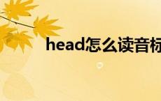 head怎么读音标 head怎么读音 