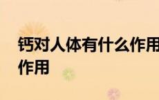 钙对人体有什么作用和功能 钙对人体有什么作用 