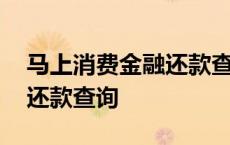 马上消费金融还款查询怎样查 马上消费金融还款查询 