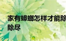 家有蟑螂怎样才能除尽呢 家有蟑螂怎样才能除尽 