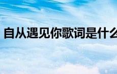 自从遇见你歌词是什么意思 自从遇见你歌词 